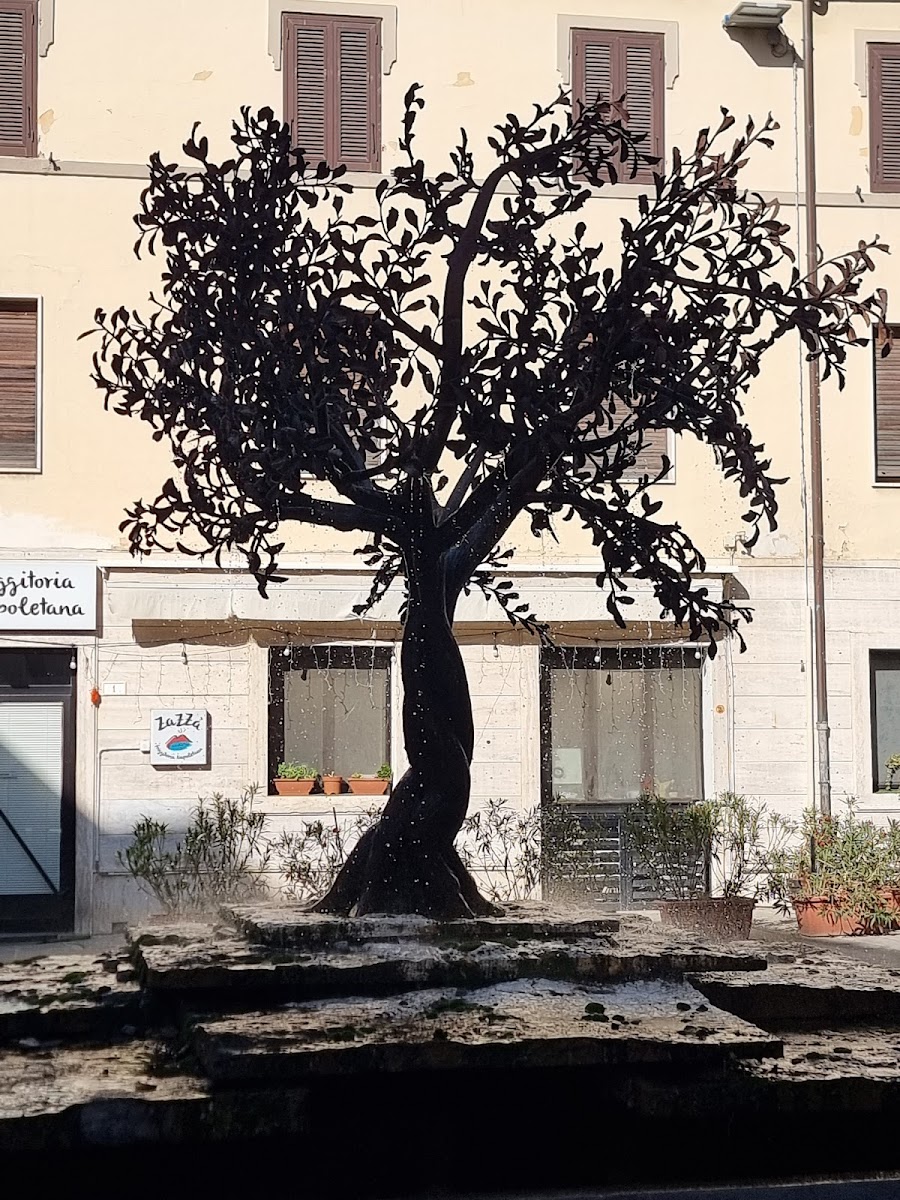 Zazzà Grosseto Photos 2